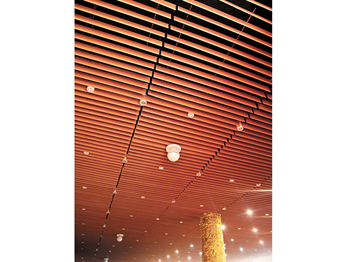 �X��ƬЧ���D